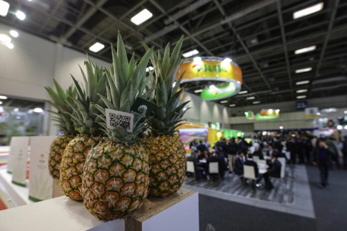 fruit logistica berlin 1